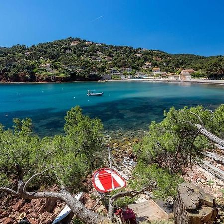 Appartement "Le Fabregas" 4 Pers Vue Mer La Seyne-sur-Mer Exteriör bild
