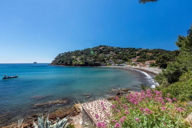 Appartement "Le Fabregas" 4 Pers Vue Mer La Seyne-sur-Mer Exteriör bild